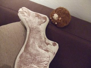 c0210521_124520.jpg
