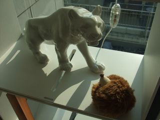 c0210521_1252337.jpg