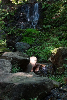 d0147321_0111856.jpg