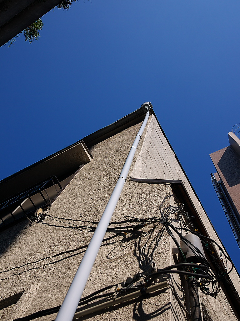 b0137723_8544528.jpg
