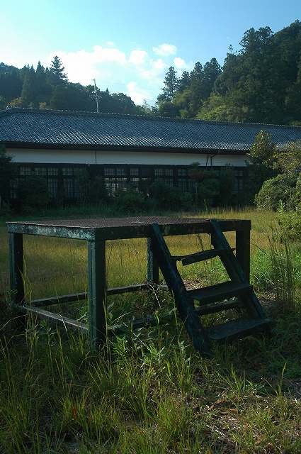 b0150023_804595.jpg