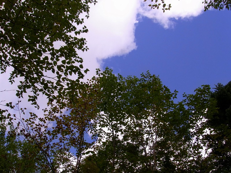 d0111124_1746596.jpg