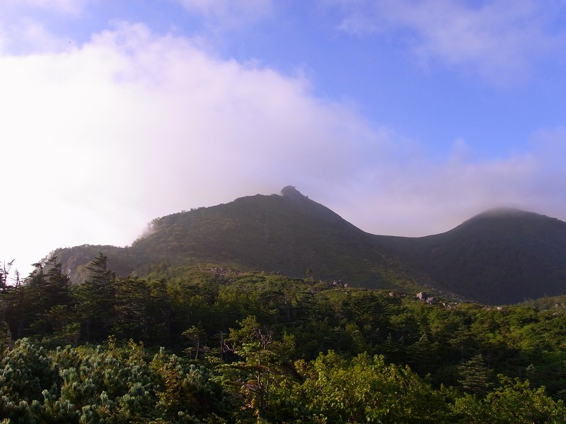 d0111124_17573156.jpg