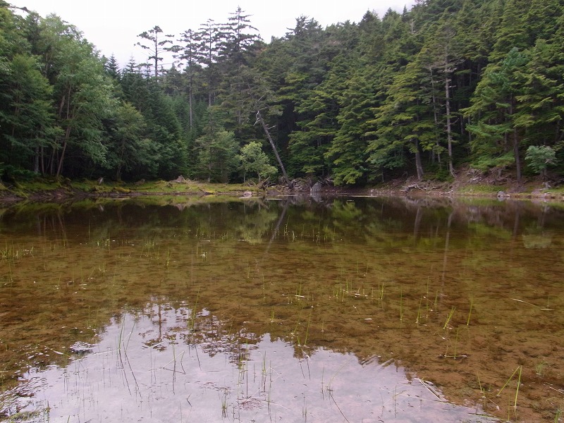 d0111124_18154597.jpg
