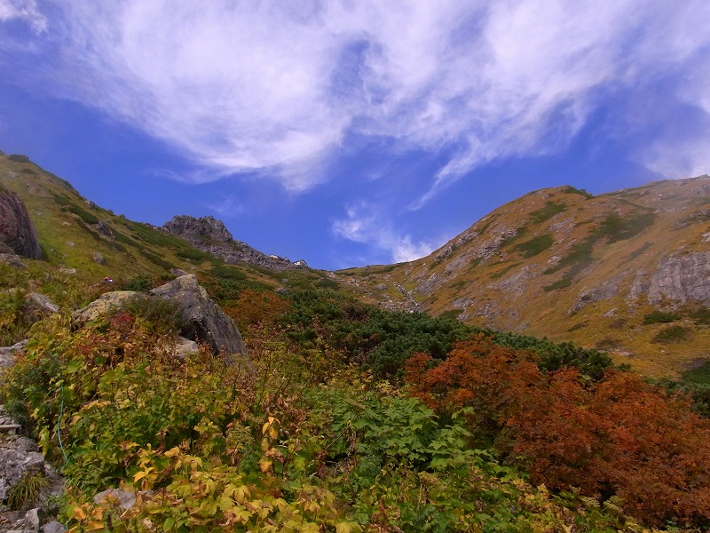 d0111124_1846961.jpg
