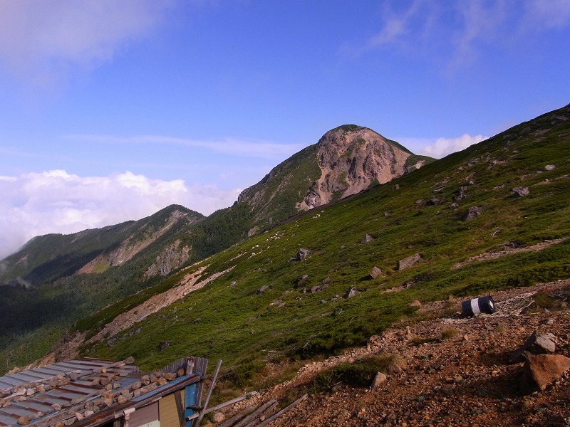 d0111124_1852812.jpg