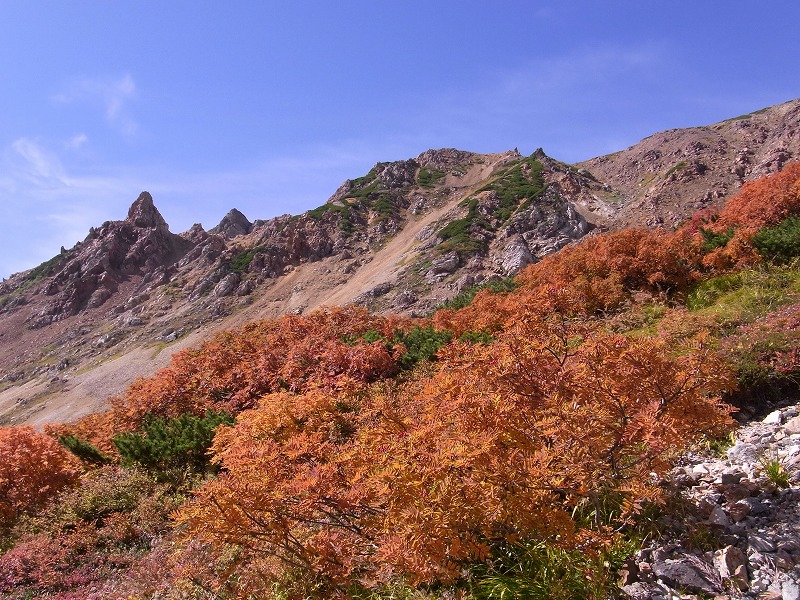 d0111124_1938271.jpg