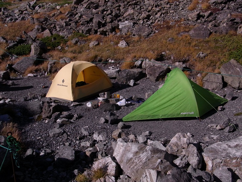 d0111124_195285.jpg