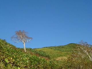 f0181524_23175383.jpg