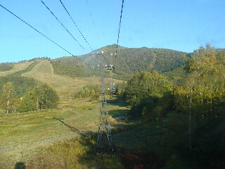 f0181524_2351556.jpg
