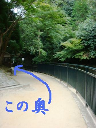 d0137326_1432562.jpg