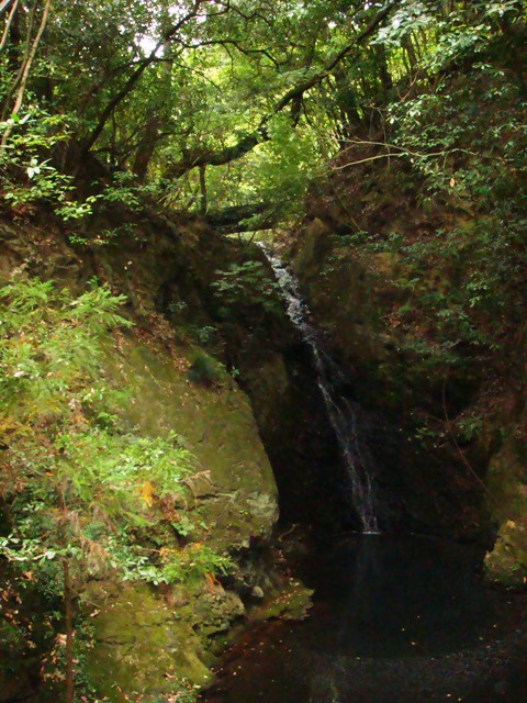 d0137326_14332271.jpg