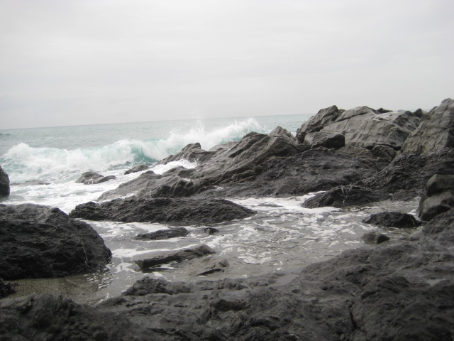 d0147727_81081.jpg