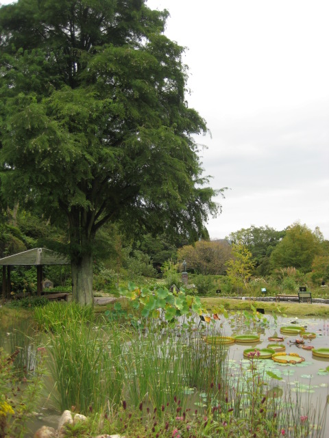 d0147727_8113737.jpg