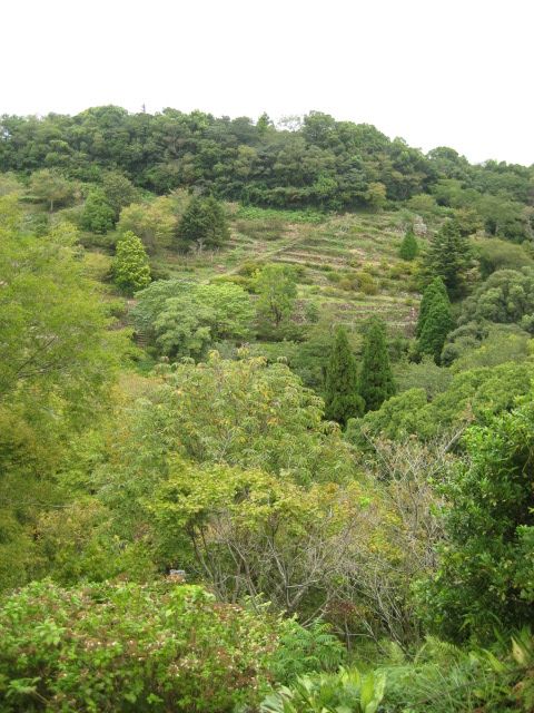 d0147727_8121026.jpg