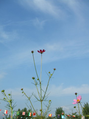 c0188928_11285857.jpg