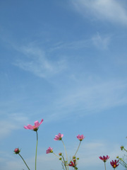 c0188928_11292455.jpg