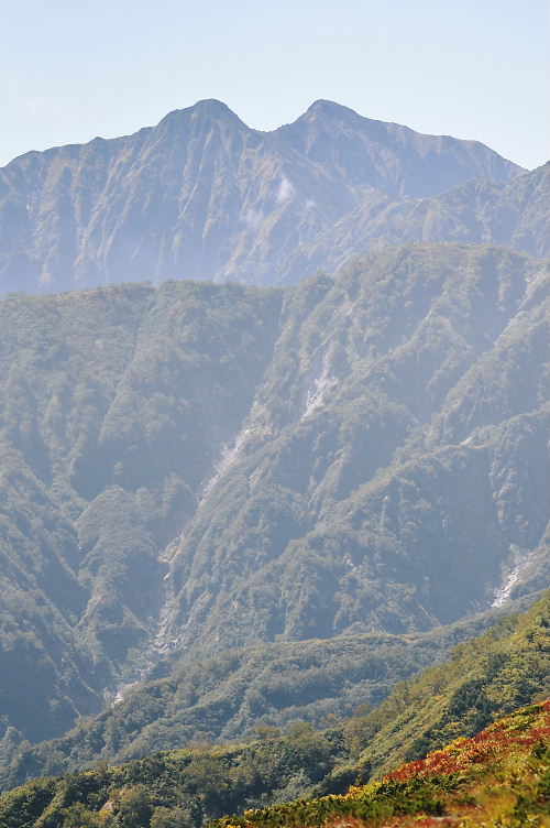 a0126632_207564.jpg