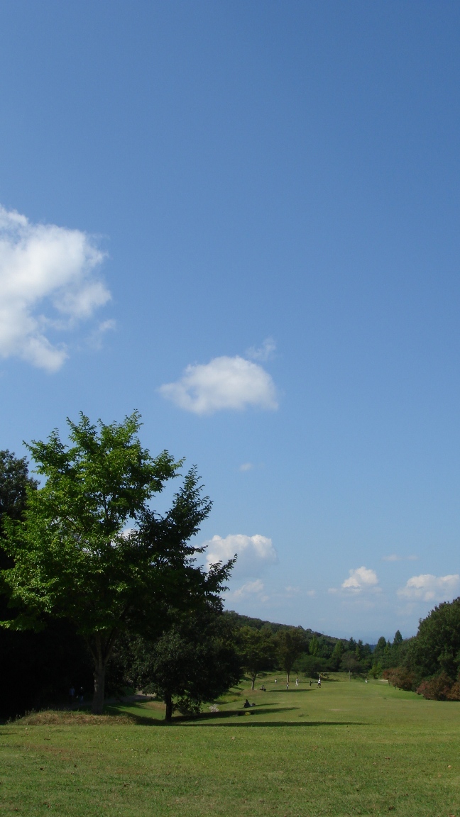 c0100534_1636272.jpg