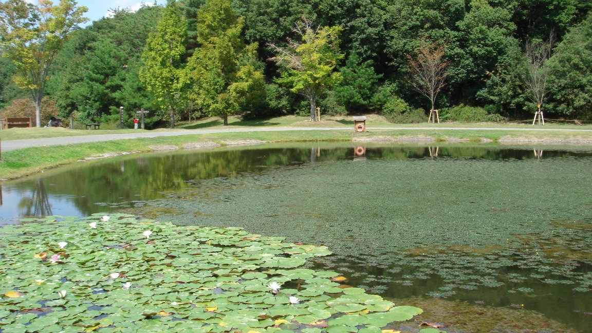 c0100534_16375896.jpg