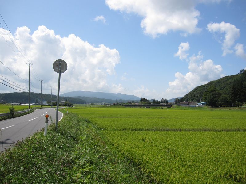 d0088735_21511034.jpg