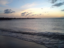 e0066135_2544621.jpg