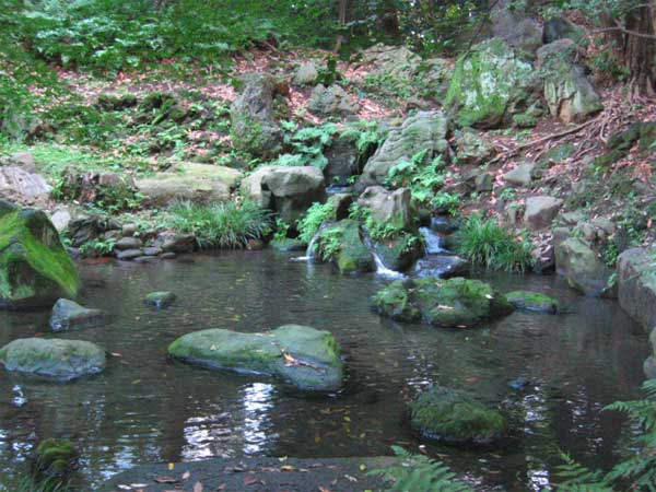 a0095337_18071.jpg