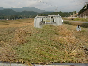 c0183137_014035.jpg