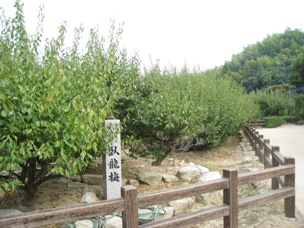 c0077338_21425411.jpg