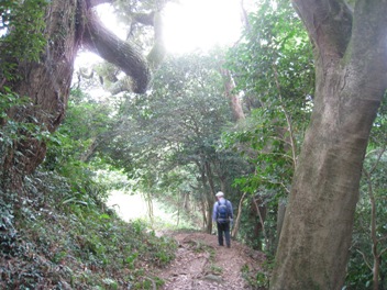 c0077338_2143144.jpg