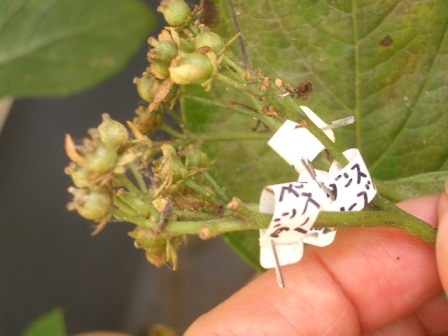 c0025140_21182523.jpg