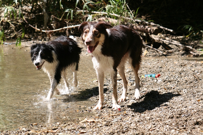 d0077740_22133290.jpg