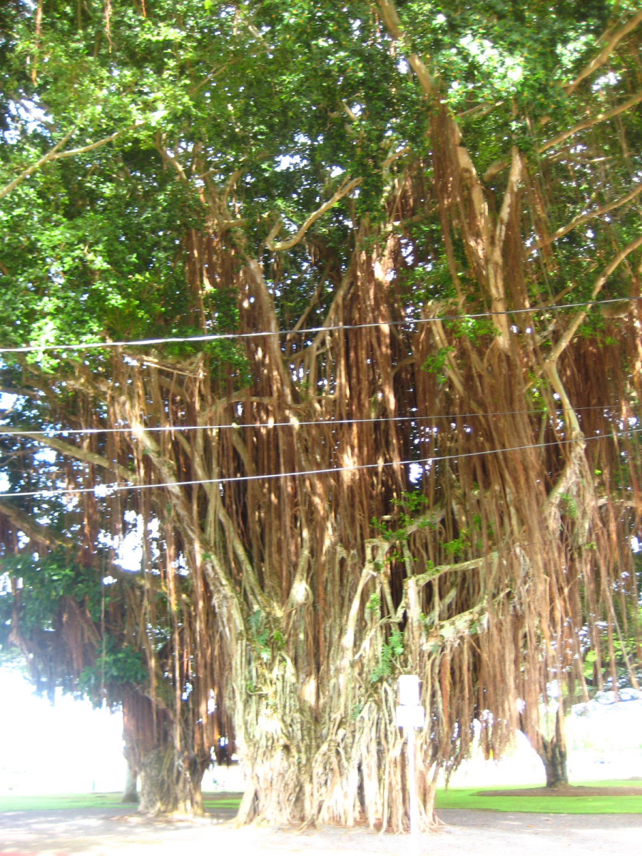 c0209845_0441115.jpg
