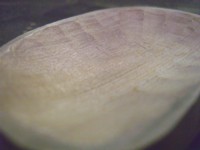 e0159349_730158.jpg