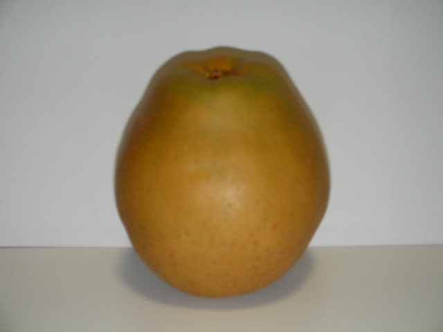 c0201756_2145396.jpg