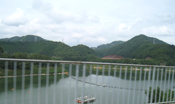 d0134156_1430383.jpg
