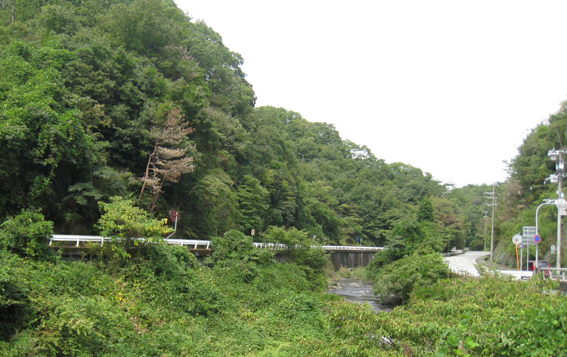 d0134156_14322819.jpg