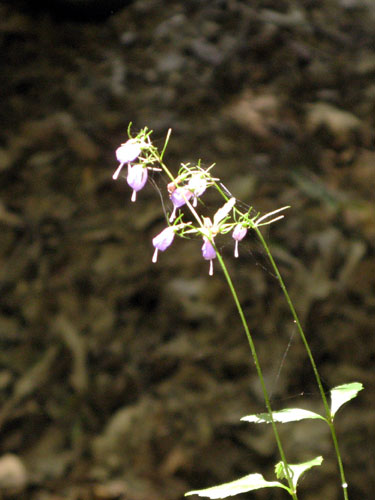 f0007956_8382730.jpg