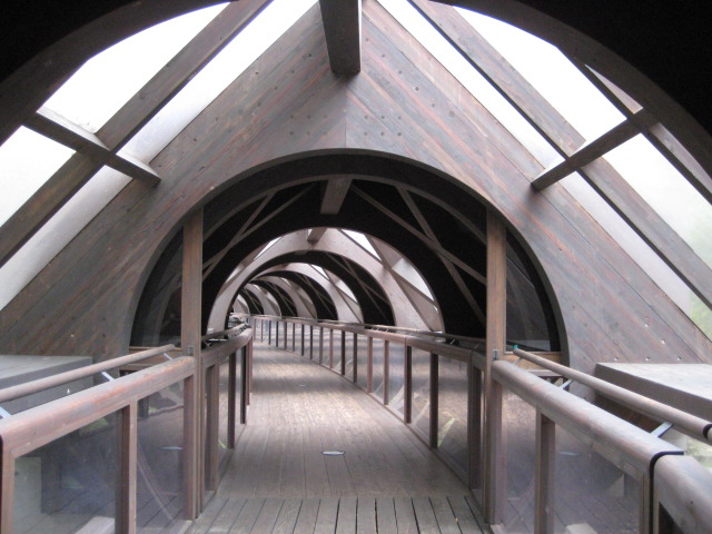 e0116960_180526.jpg