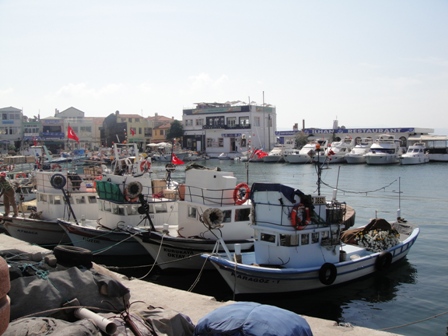 e0165162_21365526.jpg