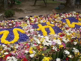 b0096463_15284097.jpg