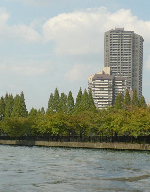 a0063364_0171596.jpg