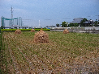 e0002466_18532031.jpg