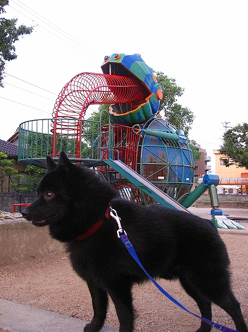 e0002466_714939.jpg