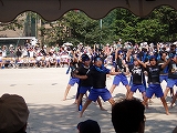 b0133870_8574015.jpg