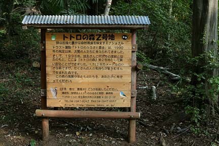a0121671_2014953.jpg