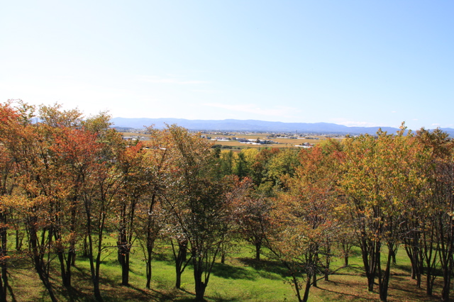 e0133273_2251262.jpg