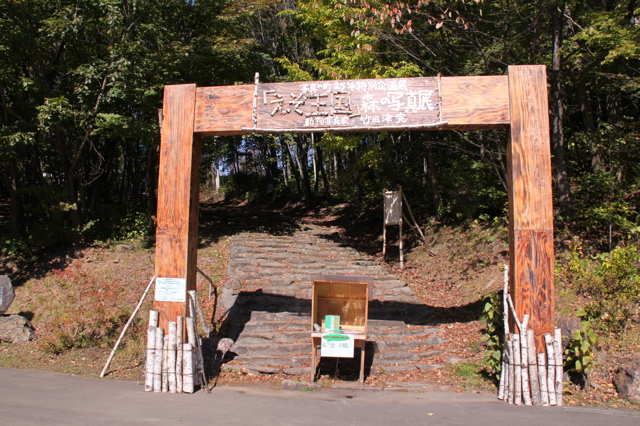 e0133273_2262429.jpg