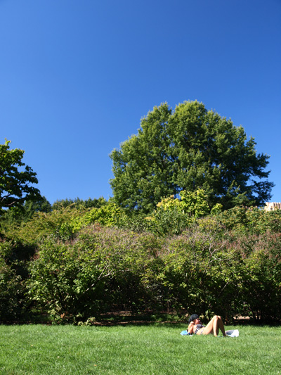 b0131774_10362093.jpg