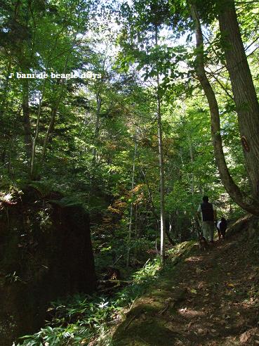 f0150377_195269.jpg